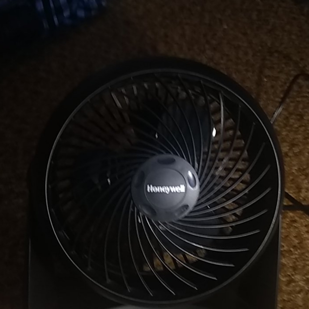 Fan